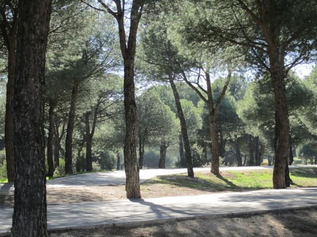 Errejón visita Majadahonda para defender la recuperación pública del Monte del Pilar