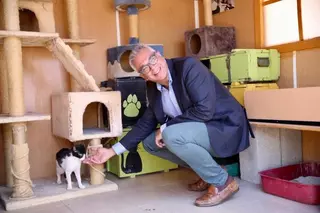 La Comunidad de Madrid impulsa la tenencia responsable de mascotas especialmente en época estival 
