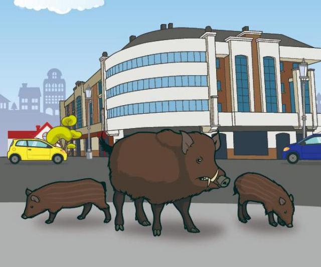 El Ayuntamiento incorpora perros pastores a su plan de control de presencia de jabalíes en zonas urbanas

