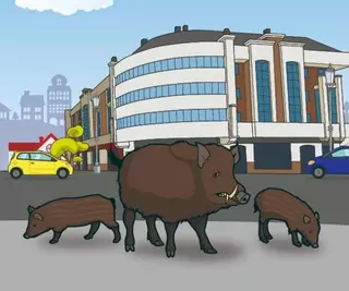 El Ayuntamiento incorpora perros pastores a su plan de control de presencia de jabalíes en zonas urbanas

