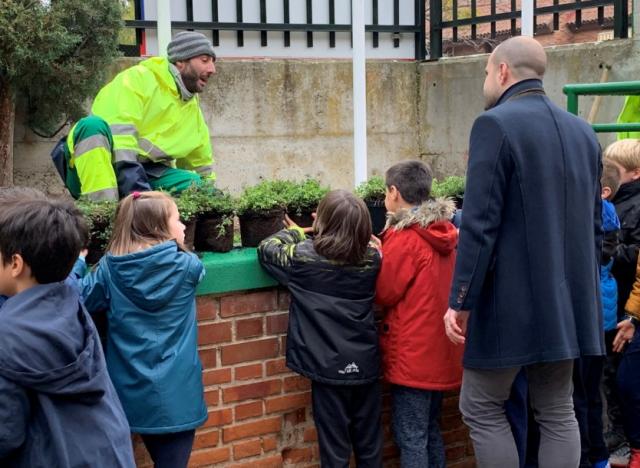 El Ayuntamiento prepara un gran Plan de actuación en colegios de más de 1,5 millones