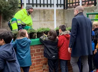 El Ayuntamiento prepara un gran Plan de actuación en colegios de más de 1,5 millones