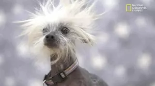 Continúan las rachas de viento en la jornada de hoy