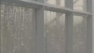 Lluvias y probabilidad de tormentas para la jornada de hoy