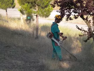 Majadahonda inicia la campaña anual de desbroces en prevención de incendios