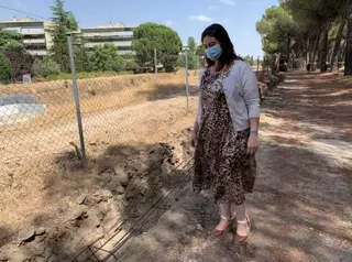 Comienza la renovación del vallado del Monte del Pilar que linda con las vías del ferrocarril