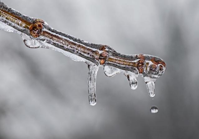 Majadahonda prepara su Plan de Inclemencias Invernales ante la bajada de las temperaturas