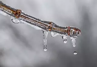 Majadahonda prepara su Plan de Inclemencias Invernales ante la bajada de las temperaturas