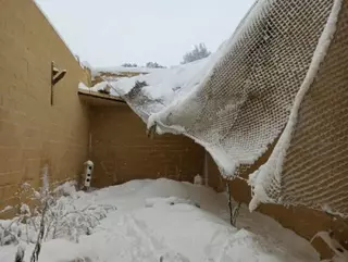 Graves daños en las aves protegidas del Hospital de Fauna Salvaje de Majadahonda tras el derrumbe de techos y muros a consecuencia del temporal