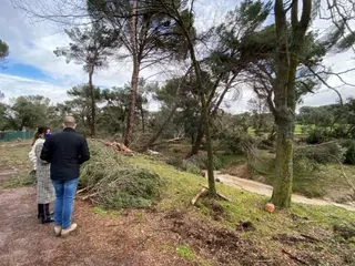 El sábado se reabren todos los accesos y caminos del Monte del Pilar