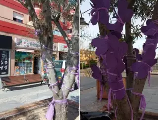 La Coordinadora Feminista de Majadahonda denuncia la vandalización de su "Olivo de las Mariposas"