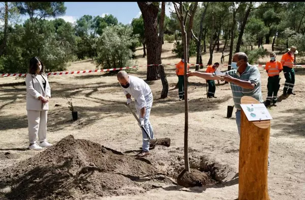 Plantación de 50 árboles en Majadahonda para celebrar el Día del Medio Ambiente   