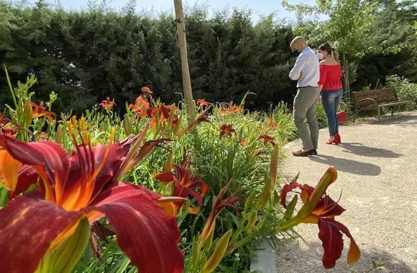 Majadahonda invierte medio millón de euros más en el mantenimiento de sus zonas verdes 