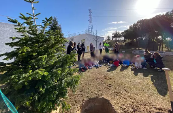 El Ayuntamiento de Majadahonda reserva una segunda vida para los abetos del ‘Bosque de los Deseos’