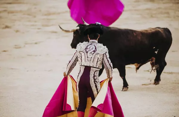 Fiestas Majadahonda 2022: Programación para el Sábado 17 de Septiembre