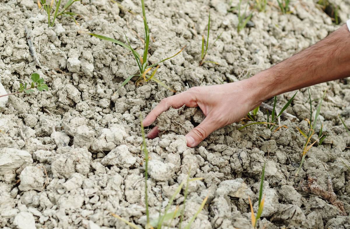 IU demanda actuaciones contra la sequía y el cambio climático en Majadahonda