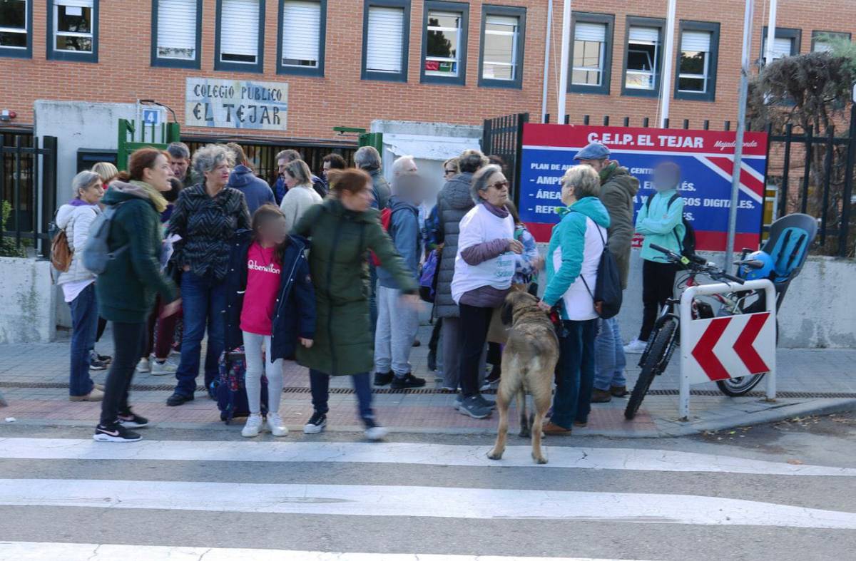 La Plataforma en Defensa de la Educación pública de Majadahonda exige medidas para crear entornos escolares seguros y saludables