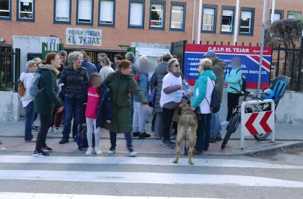 La Plataforma en Defensa de la Educación pública de Majadahonda exige medidas para crear entornos escolares seguros y saludables