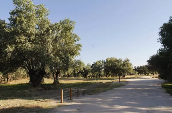 Las mejores rutas por el Monte de Boadilla para recorrer a pie o en bicicleta