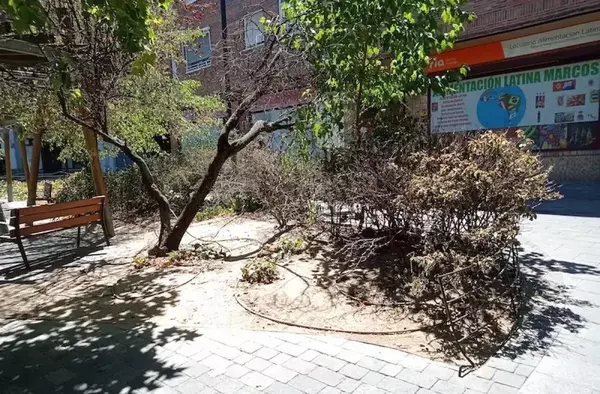 Pesadilla ambiental en Majadahonda: excrementos, botellones y abandono en el Boulevard Cervantes y Plaza Francisco Pizarro