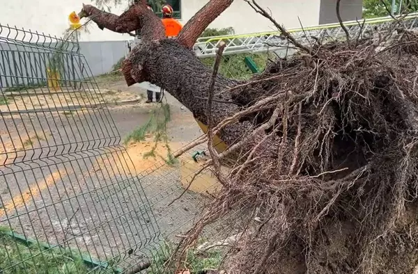 Alerta roja por tormentas: Riesgo extremo para hoy domingo en la Comunidad de Madrid