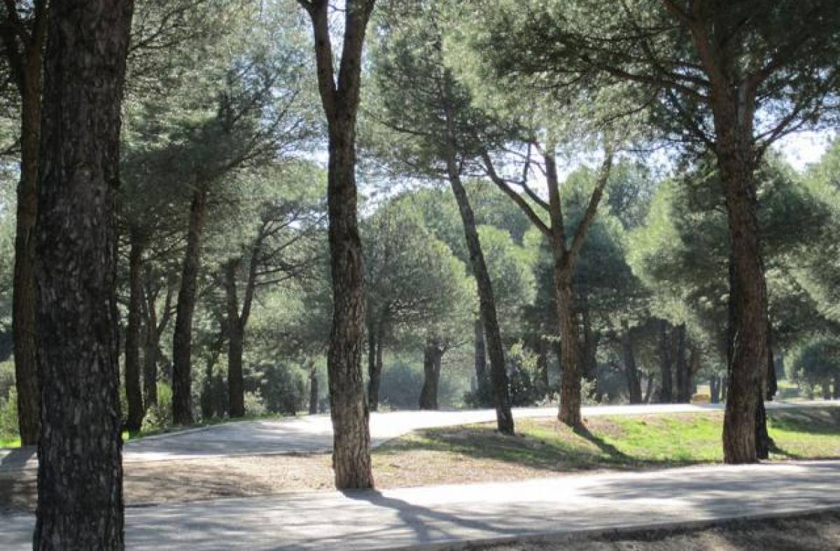 El Ayuntamiento de Majadahonda anuncia el fin del convenio con GREFA y da fecha para que abandonen las instalaciones