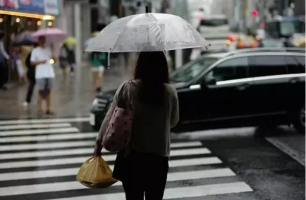 Cuarenta propuestas del comercio local para aprovechar los Días de Lluvia en Majadahonda