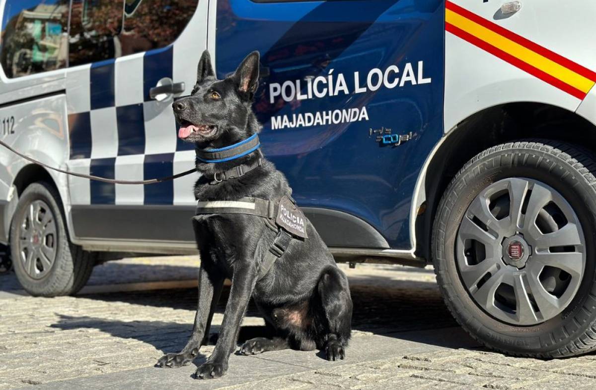 Rayo, el perro-policía antidroga de Majadahonda, interviene en la detención de un delincuente