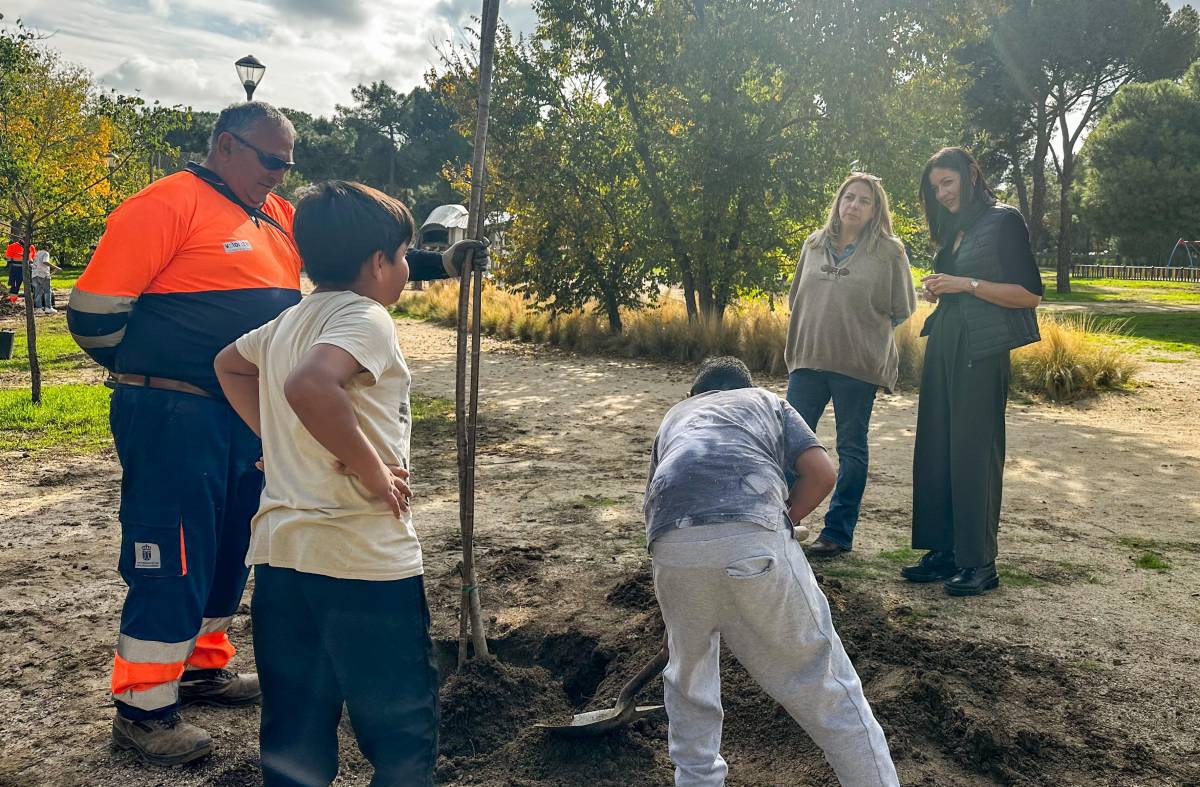 Escolares de Majadahonda plantan manzanos en el Parque Cerro del Aire para mejorar el medioambiente urbano