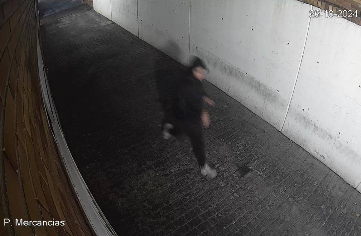 Detenido un veinteañero por causar cuatro incendios en Majadahonda