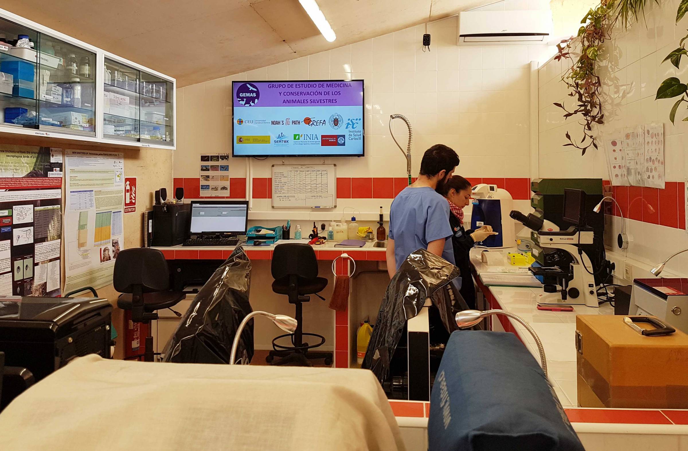 GREFA formará a voluntarios para estudiar y difundir el impacto de los microplásticos en las aves