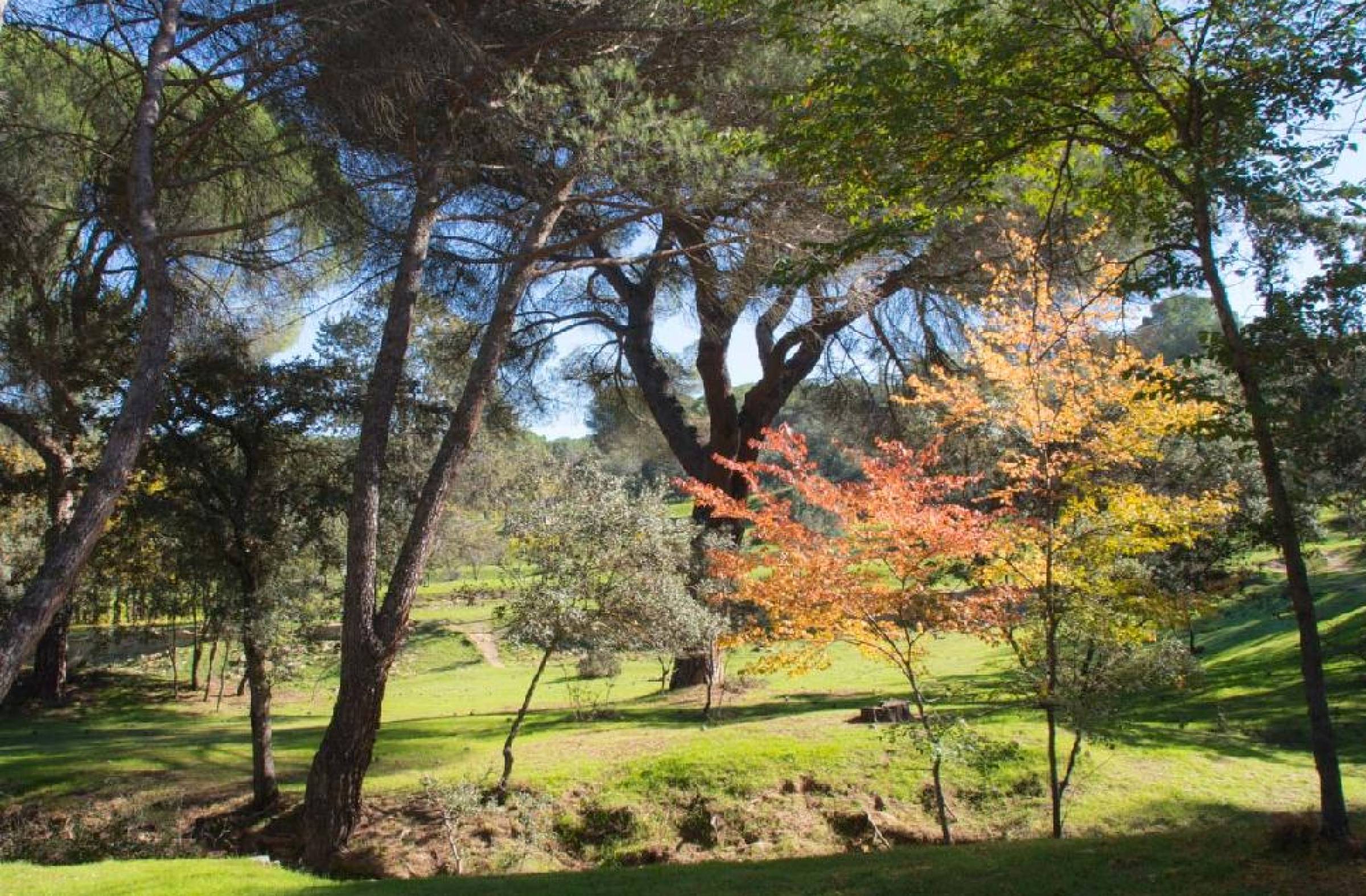 Rutas guiadas y talleres en el Monte del Pilar para celebrar el Día del Medio Ambiente en Majadahonda