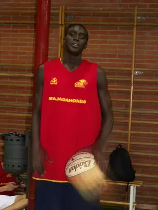 El equipo Junior del Baloncesto Majadahonda se refuerza con el fichaje de Guisse