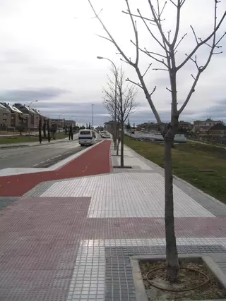 El Ayuntamiento planta nuevos árboles en varias zonas del municipio