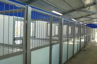 El Centro Integral Canino de Majadahonda mejora sus instalaciones
