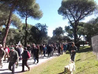 Asistencia masiva de vecinos a la manifestacion por el Monte de Majadahonda y Pozuelo