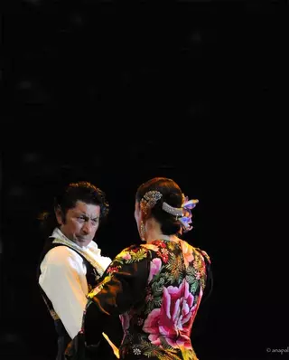 Prosigue la XI edición del Festival de Flamenco "Ciudad de Majadahonda"
