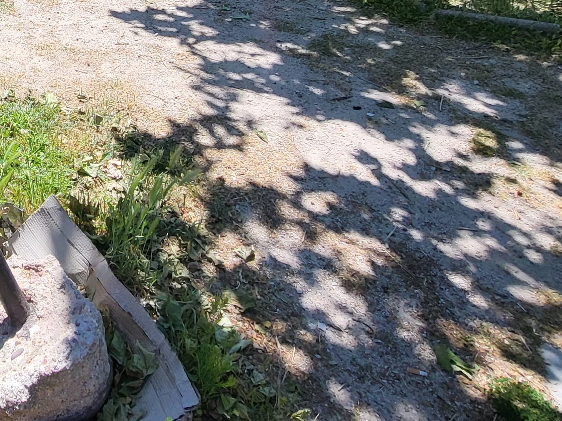 Zona peatonal del Zoco abandonada.