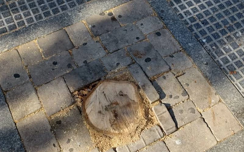 Arreglos de aceras en Gran Vía