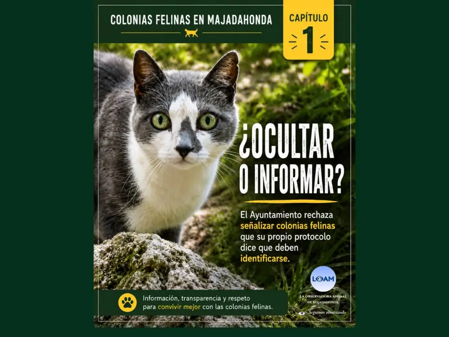 Colonias Felinas Majadahonda: ¿OCULTAR O INFORMAR?