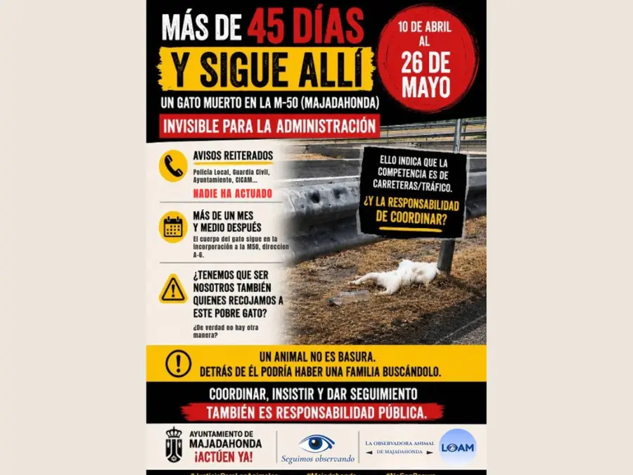 MAJADAHONDA:ANIMALES MUERTOS, AYUNTAMIENTO AUSENTE