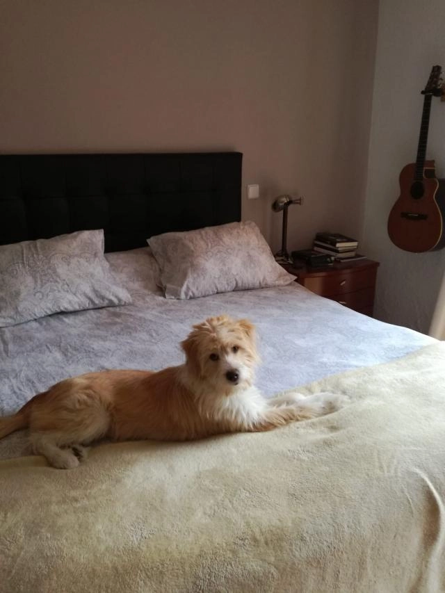 Me llamo Milka y estoy perdida