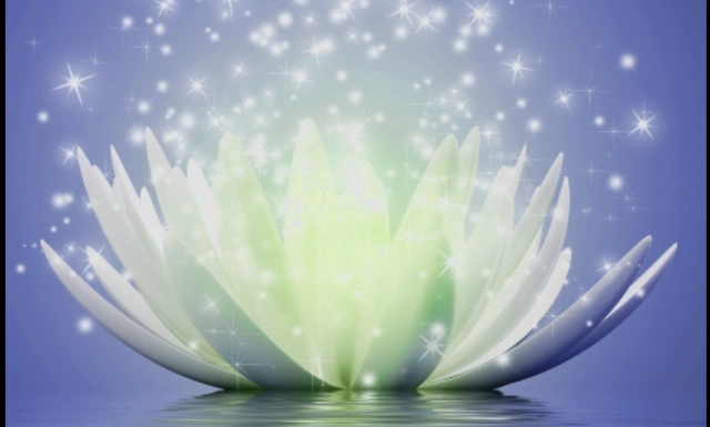 Curso de Reiki Nivel I