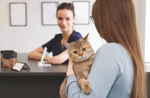 Oferta trabajo auxiliar/ recepcionista