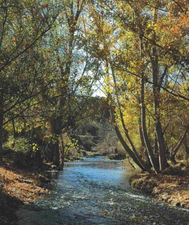 Ruta interpretativa: Otoño en el Parque Regional del Río Guadarrama.